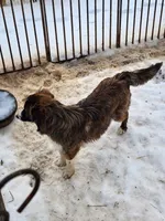 processed/1df3cba6-e1ab-44a5-9019-e827aed136c6/listing/97d26f9f-8f99-495d-b4a4-2446824cc5a3/93469e79-0549-4a25-9d1a-4bded4c70659