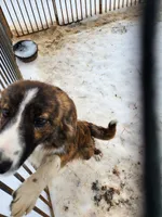 processed/1df3cba6-e1ab-44a5-9019-e827aed136c6/listing/97d26f9f-8f99-495d-b4a4-2446824cc5a3/a9e0d483-e6db-492c-b8d5-323bfe51a4cf