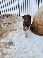 processed/1df3cba6-e1ab-44a5-9019-e827aed136c6/listing/97d26f9f-8f99-495d-b4a4-2446824cc5a3/f387ad6d-c700-4f9d-a207-6a0502b3592f