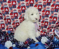 processed/1dfecdfb-5c31-4382-9429-986cb0c46114/listing/508cb0ed-23c5-4173-8640-9ed38aee9d5b/6529e69a-f726-4615-9e05-8da6a6e05caf