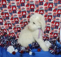 processed/1dfecdfb-5c31-4382-9429-986cb0c46114/listing/508cb0ed-23c5-4173-8640-9ed38aee9d5b/a0ccd42f-4580-4b60-a47a-1d90268c8fd5