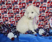 processed/1dfecdfb-5c31-4382-9429-986cb0c46114/listing/508cb0ed-23c5-4173-8640-9ed38aee9d5b/a9048790-95cb-4c20-82ad-3e6aafc69f78