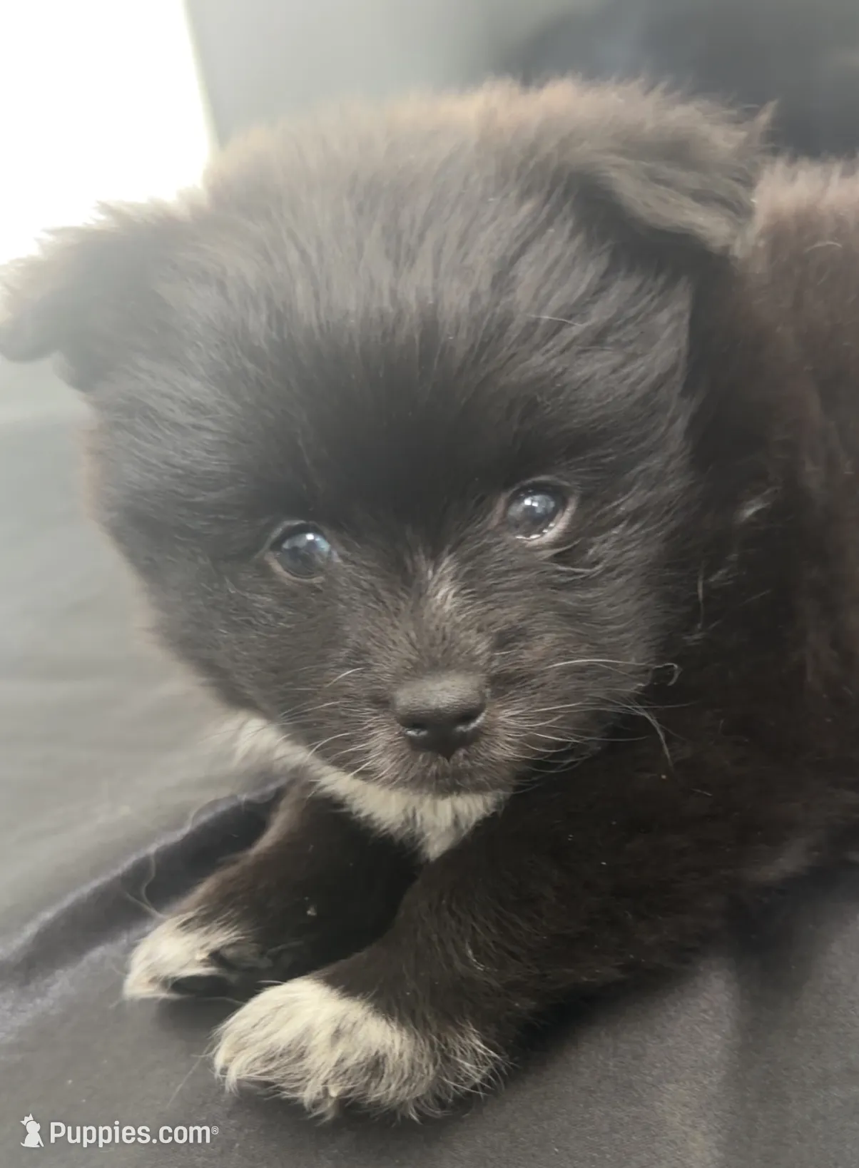 processed/1dfed7aa-7e71-49a3-ba17-419fd879758b/listing/52f474fc-fb3d-44b5-a4c9-68a1957ebc68/56ebde65-b278-4bf6-96bd-a5ab35fccc56