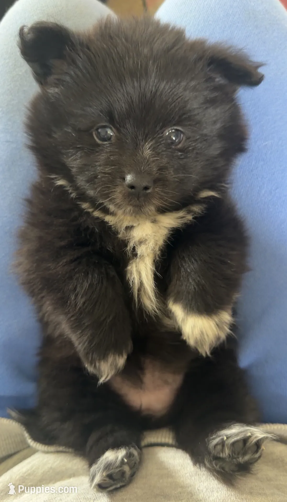 processed/1dfed7aa-7e71-49a3-ba17-419fd879758b/listing/52f474fc-fb3d-44b5-a4c9-68a1957ebc68/92d48f6c-0502-4b41-ae55-21523d7c50c2