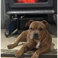 processed/1e0b21fa-df01-477f-a583-d1c88e0c7e08/facility/11a541db-0cf9-48e6-8a32-5e998dbde2a3