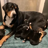 processed/1e0b21fa-df01-477f-a583-d1c88e0c7e08/facility/20543f86-2ee9-4739-ac5a-b7af9cefb148