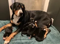 processed/1e0b21fa-df01-477f-a583-d1c88e0c7e08/facility/20543f86-2ee9-4739-ac5a-b7af9cefb148