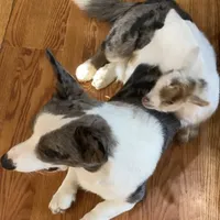 processed/1e0b21fa-df01-477f-a583-d1c88e0c7e08/facility/39d2201b-d93d-41ef-8562-e41cd0952fe6