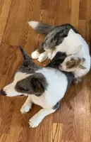 processed/1e0b21fa-df01-477f-a583-d1c88e0c7e08/facility/39d2201b-d93d-41ef-8562-e41cd0952fe6