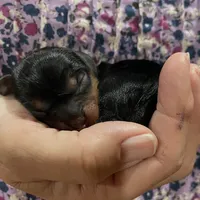 processed/1e0b21fa-df01-477f-a583-d1c88e0c7e08/facility/55ebb593-ea36-4faf-a52e-bfc1377781d5