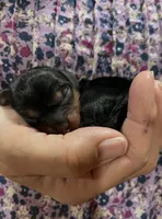 processed/1e0b21fa-df01-477f-a583-d1c88e0c7e08/facility/55ebb593-ea36-4faf-a52e-bfc1377781d5