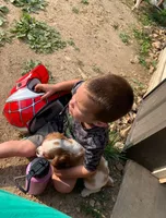 processed/1e0b21fa-df01-477f-a583-d1c88e0c7e08/facility/7222fcac-d1bf-4665-8ae7-751657b1a927