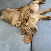 processed/1e0b21fa-df01-477f-a583-d1c88e0c7e08/facility/85a24ae2-301a-415e-9d0c-91fc4462a029