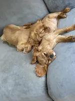 processed/1e0b21fa-df01-477f-a583-d1c88e0c7e08/facility/85a24ae2-301a-415e-9d0c-91fc4462a029