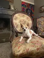 processed/1e1c711c-6d62-4757-938b-881228a2f943/facility/0a501c38-05f9-4550-a62a-af056da307b5