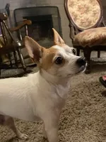 processed/1e1c711c-6d62-4757-938b-881228a2f943/facility/74871294-77bd-4647-9a88-f1917941e296