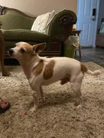 processed/1e1c711c-6d62-4757-938b-881228a2f943/facility/9795c7ed-486a-475b-b367-194e22b08765