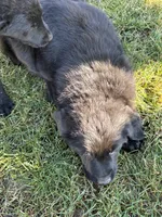 processed/1e261287-1a8f-4217-b77c-918461def81c/listing/cfea28fd-17bc-4050-baca-43ed191ea5ce/4f334afa-9e21-4d6e-b579-ef54002d709c