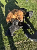 processed/1e261287-1a8f-4217-b77c-918461def81c/listing/cfea28fd-17bc-4050-baca-43ed191ea5ce/87c9ae87-5d12-4668-8459-ba74fd7df7da