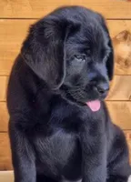 processed/1e261287-1a8f-4217-b77c-918461def81c/listing/cfea28fd-17bc-4050-baca-43ed191ea5ce/8843446b-dc04-45c8-98a6-a9884b79fcb5