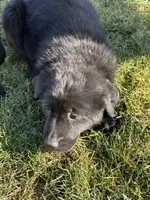 processed/1e261287-1a8f-4217-b77c-918461def81c/listing/cfea28fd-17bc-4050-baca-43ed191ea5ce/8b32fca8-1a8a-4d22-bb3a-3112aa831bfd