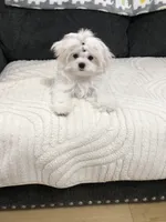 processed/1e288f23-d636-41a1-bd9f-ef8e3ea3886d/listing/4e9aa1a9-219c-4589-a003-55a001ee98fd/6d7ca8ce-3646-49b5-af18-4c211531a8ad