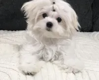 processed/1e288f23-d636-41a1-bd9f-ef8e3ea3886d/listing/4e9aa1a9-219c-4589-a003-55a001ee98fd/906bfa59-e38b-4eb8-82ed-e0fa1756eebb