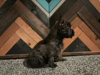 processed/1e2f1b30-874e-48c7-8627-1c08d88bc920/listing/367ddf7e-d2e4-42f4-b886-2e3ef1e36e3e/143e36fd-65ed-45ef-98a3-89fc578d58e1