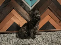 processed/1e2f1b30-874e-48c7-8627-1c08d88bc920/listing/367ddf7e-d2e4-42f4-b886-2e3ef1e36e3e/73efee63-1e12-4e00-8937-9be1ca5cd87e