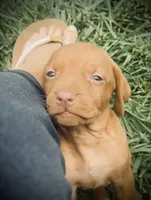 processed/1e31b69b-c5ea-4277-b138-308ea65df458/listing/6d276bc0-829b-4f98-b018-19dccdeb61ba/0d93ad49-d996-4f8a-b15a-a80fd5f85fda