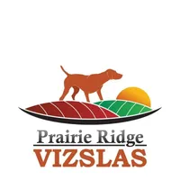 Jan 17 Puppy, a male Vizsla for sale in Council Bluffs, IA – Photo 1 of 10