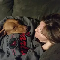 Jan 17 Puppy, a male Vizsla for sale in Council Bluffs, IA – Photo 4 of 10