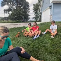 Jan 17 Puppy, a male Vizsla for sale in Council Bluffs, IA – Photo 10 of 10