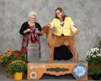 processed/1e31b69b-c5ea-4277-b138-308ea65df458/listing/6d276bc0-829b-4f98-b018-19dccdeb61ba/c0b2a18b-ed74-4c66-b39e-bc489a11911a