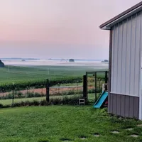 Jan 17 Puppy, a male Vizsla for sale in Council Bluffs, IA – Photo 8 of 10