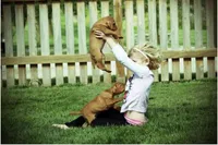 processed/1e31b69b-c5ea-4277-b138-308ea65df458/listing/6d276bc0-829b-4f98-b018-19dccdeb61ba/da40df0d-13e6-44d9-97c7-24cf9fe648a5