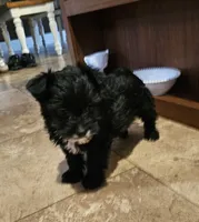 processed/1e356976-04aa-4aed-9817-8b157a0c7d16/listing/b409dc7c-4c25-4a94-9742-33d46983d8fd/2158bfe0-6569-4169-8b2b-d9296b0f7af3