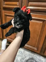 processed/1e356976-04aa-4aed-9817-8b157a0c7d16/listing/b409dc7c-4c25-4a94-9742-33d46983d8fd/2d20f1d1-3fe2-454c-b7b5-dc3004d7712b