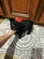 processed/1e356976-04aa-4aed-9817-8b157a0c7d16/listing/b409dc7c-4c25-4a94-9742-33d46983d8fd/3f08ca79-27bc-464d-ab93-040d353a5011