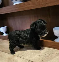 processed/1e356976-04aa-4aed-9817-8b157a0c7d16/listing/b409dc7c-4c25-4a94-9742-33d46983d8fd/5fea4107-7141-4302-bb95-7023018175ea