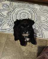 processed/1e356976-04aa-4aed-9817-8b157a0c7d16/listing/b409dc7c-4c25-4a94-9742-33d46983d8fd/e8655444-071c-46b5-b492-28c33d078e56