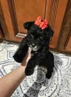 processed/1e356976-04aa-4aed-9817-8b157a0c7d16/listing/b409dc7c-4c25-4a94-9742-33d46983d8fd/facb595f-78fc-4b7e-9d44-00a658222ede