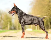 processed/1e35e5e5-1123-4cce-b28a-fb297c440c1d/listing/3ded325d-7e56-4a3d-a81e-1f1ad34b25c6/69a142e5-d99f-40c2-aa1b-f9f6294b08c7