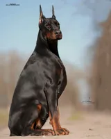 processed/1e35e5e5-1123-4cce-b28a-fb297c440c1d/listing/3ded325d-7e56-4a3d-a81e-1f1ad34b25c6/72dbc027-db03-4278-aa1f-9ef622ed4a6b