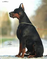 processed/1e35e5e5-1123-4cce-b28a-fb297c440c1d/listing/3ded325d-7e56-4a3d-a81e-1f1ad34b25c6/91e6e339-df2b-4bcc-99af-8bc79d12402e