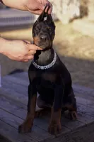 processed/1e35e5e5-1123-4cce-b28a-fb297c440c1d/listing/6e33b0c9-8f6f-45cf-b64a-e43a9175999a/4cef2b39-0529-4272-8748-fa1f72684bb6