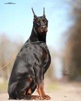 processed/1e35e5e5-1123-4cce-b28a-fb297c440c1d/listing/6e33b0c9-8f6f-45cf-b64a-e43a9175999a/b3835019-b99e-4c4f-bc5e-ae40b10bd638