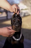 processed/1e35e5e5-1123-4cce-b28a-fb297c440c1d/listing/6e33b0c9-8f6f-45cf-b64a-e43a9175999a/bfd7f0d7-0f79-491b-bd49-5788f6388b64