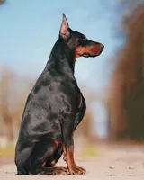 processed/1e35e5e5-1123-4cce-b28a-fb297c440c1d/listing/ab7b93c6-15f4-4480-afcb-6c5f1e50413d/712ed776-17c3-4b10-9283-f23f3e86a02b