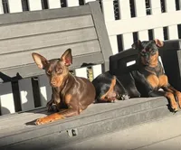 processed/1e391cdb-aa39-4875-9bcb-4076faa64de9/facility/0714d90c-3de5-4448-91b4-ce34ae1b3897